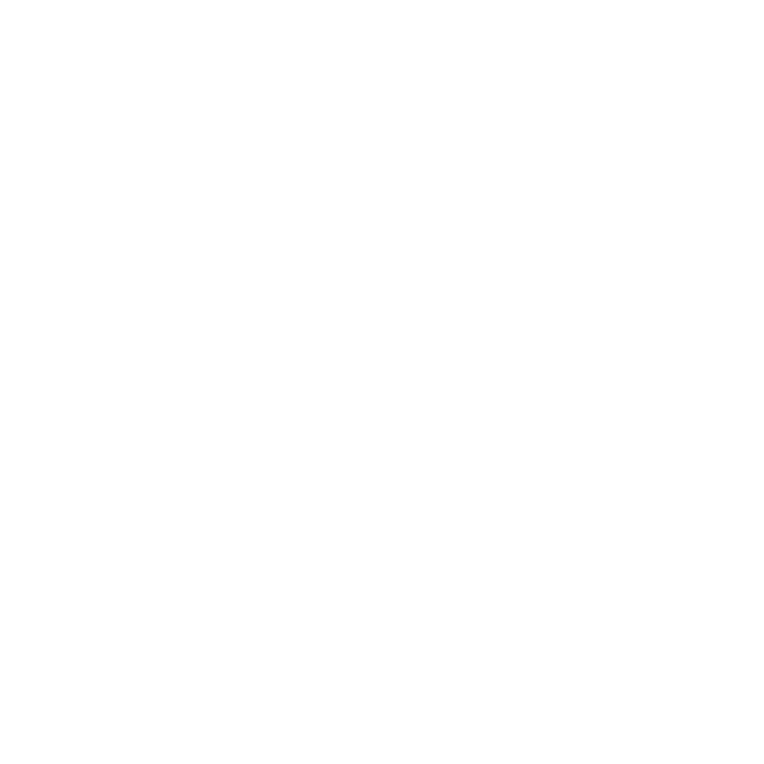 Teleconsultas Icon